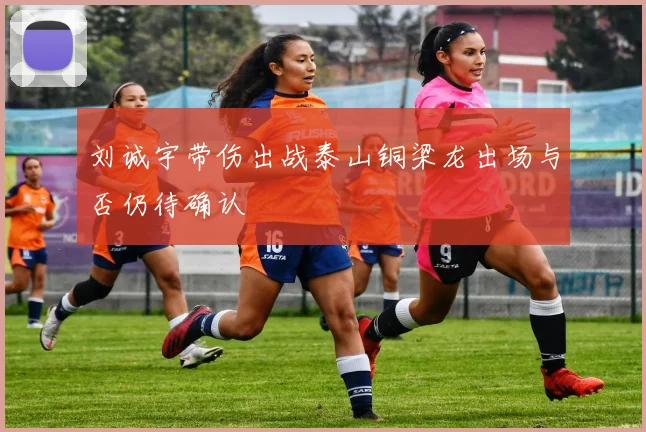 刘诚宇带伤出战泰山铜梁龙出场与否仍待确认